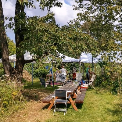 Workshop 5 daagse beeldhouwen in steen
