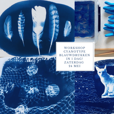 Workshop Cyanotype blauwdrukken in 1 dag