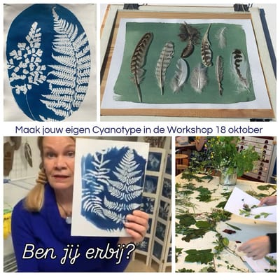 Workshop Cyanotype blauwdrukken in 1 DAG!