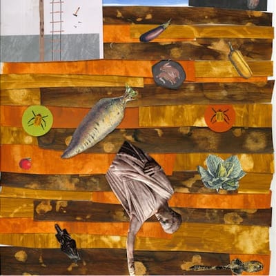 Workshop: De wereld in detail: Maak een collage met verschillende materialen