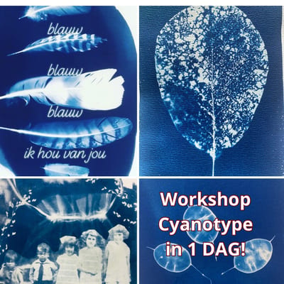 Workshop Cyanotype blauwdruk in 1 DAG!
