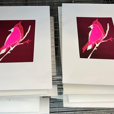 Verdiepende zeefdrukcursus