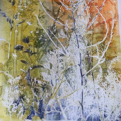 Workshop Natuurprint / Botanisch afdrukken