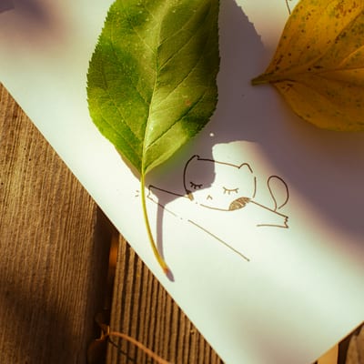 What is Your Healthy Place? - Creative Self-Exploration Workshop