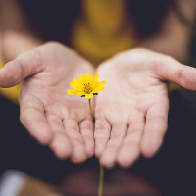 Find Balance between Giving & Receiving - Creative Exploration