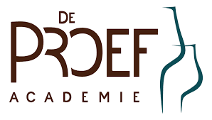 De Proefacademie